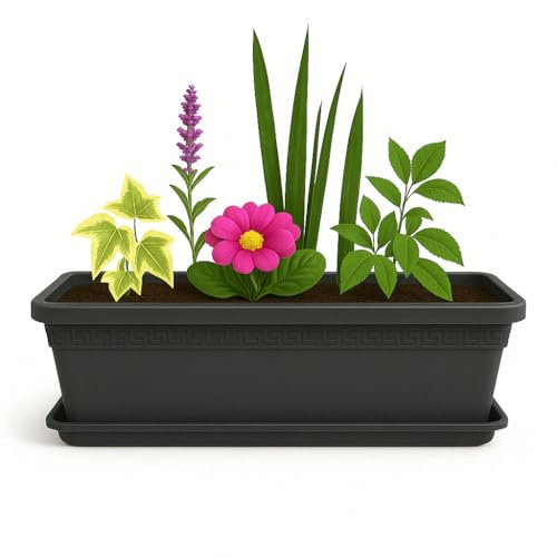 TECHZOCO Jardinera de plástico con Plato, Macetero Jardín, Incluye Plato, Fabricado en Polipropileno, Apto balcón, Patio, Interior/Exterior, 50 cm Largo x 16.5 cm Alto x 18 cm Fondo, Antracita