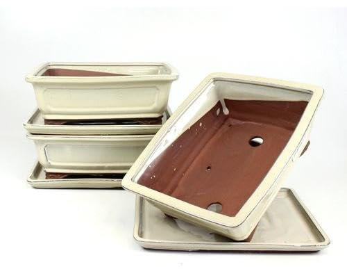 PLANETA HUERTO | Tiesto Bonsái Rectangular 25 cm con Plato Crema – Ideal para Bonsáis y Plantas en Interior