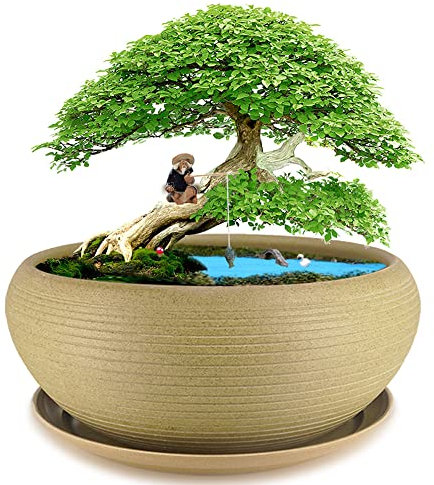 MUZHI 9.5” Round Large Ceramic Bonsai Bowl Planter，Clay Succulent Plant Pot Container with Saucer
