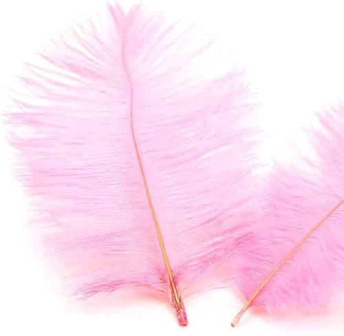 10 Stück 15-20cm Natürliche Straußenfedern,Strauß Feder zum Basteln,Bastel Federn für DIY Traumfänger Zubehör,Heimdekoration,KostüMe,Tischdeko Hochzeit Party Fest Hüte Kleidung Dekoration,Rosa