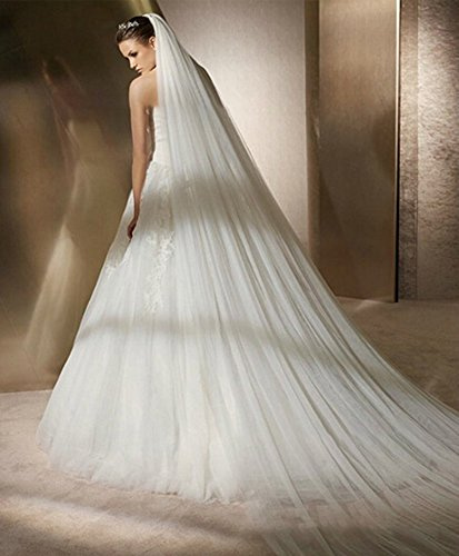 HKSCKJ Voile de Mariée Cathédrale 2 Couches en Tulle Souple Blanc avec Peigne - Longue Queue pour Photographie, Bal, Fête - Longeur 3M