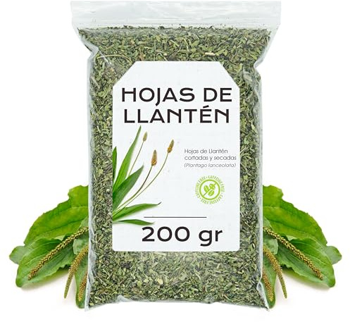 Te di Piantaggine 200 gr - Piantaggine Foglie - Piantaggine Essiccate - Piantaggine Tisane - Llanten - Piantaggine Sfuso (200 gr)