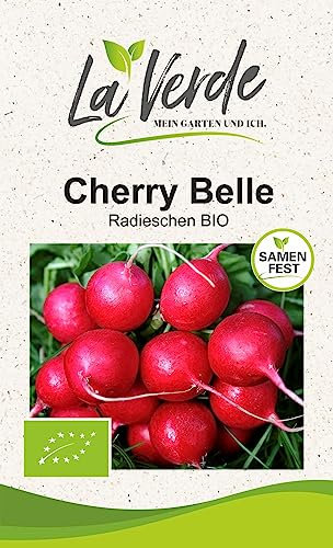 Radis Cherry Belle BIO