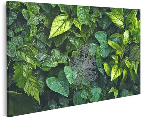 islandburner Bild auf Leinwand Grüne Blätter und Spinnennetz nach Regen Bilder Wandbilder Poster
