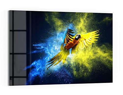 DEQORI Glas-Magnettafel | 90x60 cm groß | Motiv Papagei in Farbwolke | Memo-Board aus Glas | Magnetboard inkl. Magnete, Stift & Tuch für Küche & Büro | Tafel magnetisch & beschreibbar