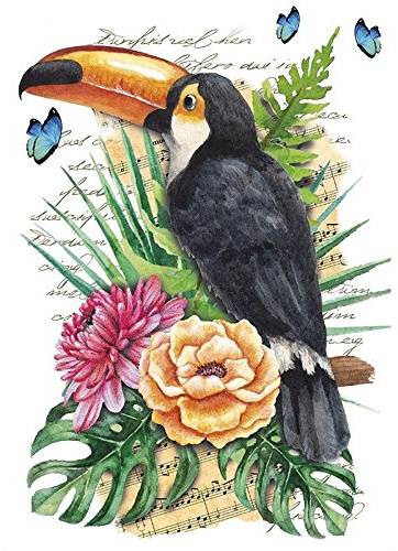 Ideen mit Herz Color Bügeltransfer, DIN A4, ohne Hintergund, tropische Tiere | Textilien wie T-Shirts & Taschen mit Bügelmotiven verzieren | Transfer-Bilder aufbügeln | DIY Textildesign (Tukan)