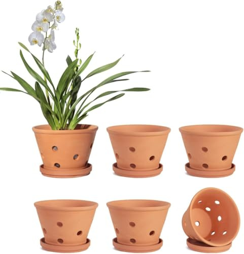 vensovo 6 Pack 10 cm Terracotta Orchid Pots with Holes and Saucers | Small Clay Planters for Repotting Indoor and Outdoor Orchids, with Ventilation Holes to Support Air Circulation