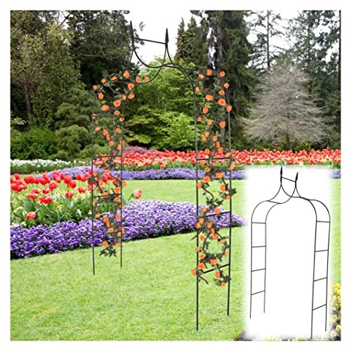 Outdoor Garden Arch Frame Gothic 98 H x 55 W Anti-rust Rose Arbor Black Trellis Metal Weather Resistant Climbing Plant Wedding Decoration Pergola