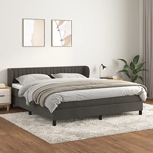 Massbinet Boxspringbett mit Matratze Dunkelgrau 160x200 cm Samt Moderne Jugendbett Gepolstert für Schlafzimmer Gästezimmer