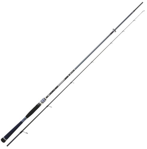 Hearty Rise 215cm 15-60g Divinity Rute - Spinnrute für Hecht & Zander, Raubfischrute, Angelrute, Kunstköderrute, Blinkerrute zum Spinnangeln