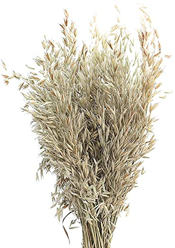 INIFLM Lot de 50 fleurs séchées naturelles, flocons d'avoine séchés pour cheminée, maison, cuisine, église, table de mariage, décoration d'intérieur (40-45 cm)