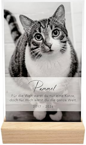 Gedenktafel Katze personalisiert mit Foto aus Acrylglas 13 x 20 cm | Personalisiert, Acrylglas mit Echtholzfuß, 13 x 20 cm, Andenken an verstorbene Katzen, zur Erinnerung & Trauer