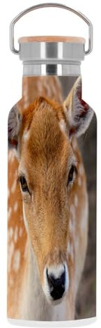 Thermosflasche Edelstahl Thermosflasche Belle Biche Hirsch Foto Nature Vie Sauvage - 500ml
