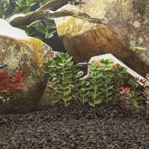 GeenYuu Grava de basalto negra 5-8 mm 25 kg sustrato de grava para acuario, terrario, estanque, nano, cuenca, agua dulce, agua marina, crecimiento, decoración, filtrado, cuidado de raíces