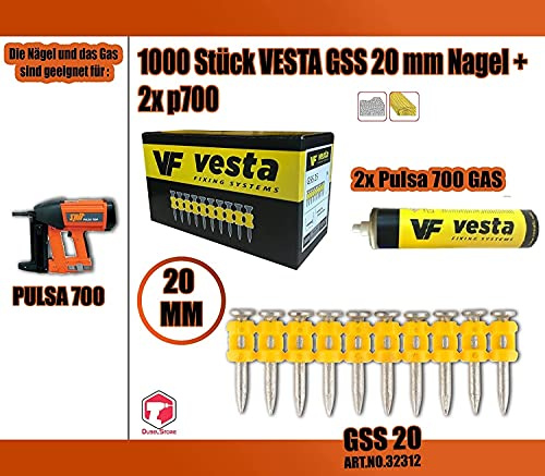 Lot de 1000 clous Vesta GSS + 2 cartouches gaz Pulsa700/Pulsa800 (clous Spit) (C6 20 mm, Pulsa 700)