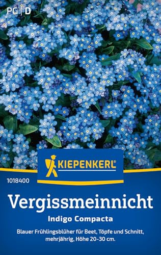 Kiepenkerl Vergissmeinnichtsamen Indigo Compacta 1018400, Blumensaat | Für Gärtner, mehrjährig, Wuchshöhe 20-30 cm