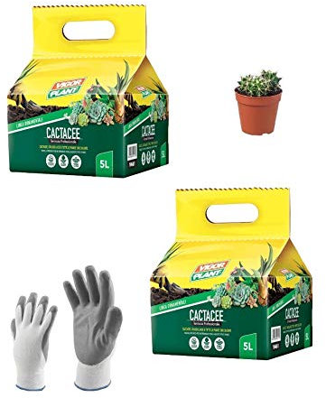 Terreau pour la culture des plantes grasses 2 sacs de 5 l. Terreau professionnel cactaées, crassulacées et toutes les plantes succulentes. Gants de travail et une petite plante grasse.