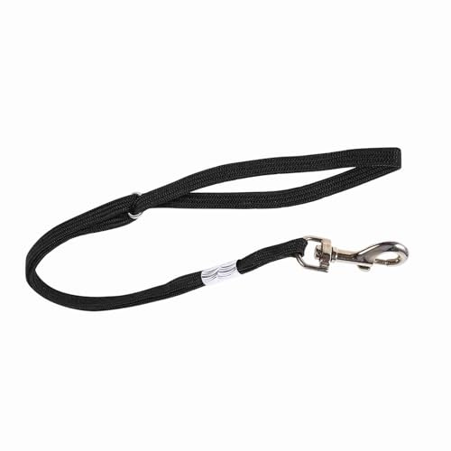Yctze Tavolo da Toelettatura per Animali Regolabile con Bracciolo da Bagno con Imbracatura in Corda di Trattenimento e Cappio per Cani e Gatti - per Mantenere il Tuo