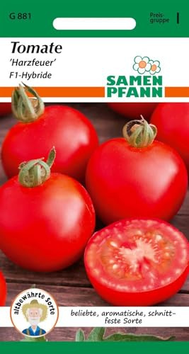 SAMEN PFANN® Tomate, Harzfeuer F1 - Gemüse-Samen Saatgut Tomaten Samen (Solanum lycopersicum)
