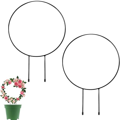 MAEXUS Rankhilfe Zimmerpflanzen, 2er Pflanzen Rankhilfe aus Metall Garten Pflanzen Kletterhilfe, Garten Rankhilfe Pflanzgitter, Rankgitter für Zimmerpflanzen Balkon