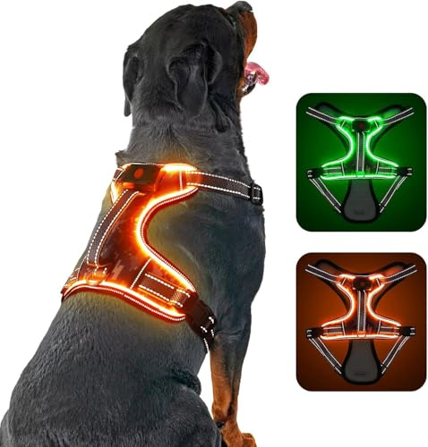 DQGHQME Hundegeschirr Leuchtend Verstellbar Leuchtgeschirr für Hunde, Reflektierend LED Leucht Brustgeschirr Gepolstert, No-Pull Hund Geschirr mit Licht（Orange L）