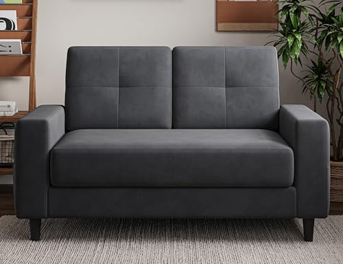 Txtin's Loveseat Sofa 53 Small Couches for Small Spaces 2 Seater Mini Couch for Bedroom Dark Grey Comfy Modern Love Seat for Apartment Office Living Room