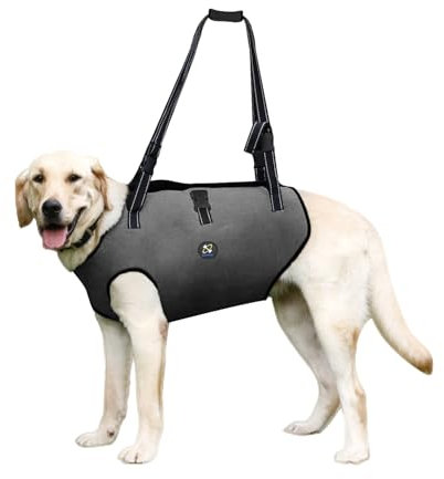 Coodeo Dog Lift Harness, Pet Support & Rehabilitation Sling Lift Adjustable Padded Breathable Straps for Old, Disabled, Joint Injuries, Arthritis, Loss of Stability Dogs Walk (Grey, M)