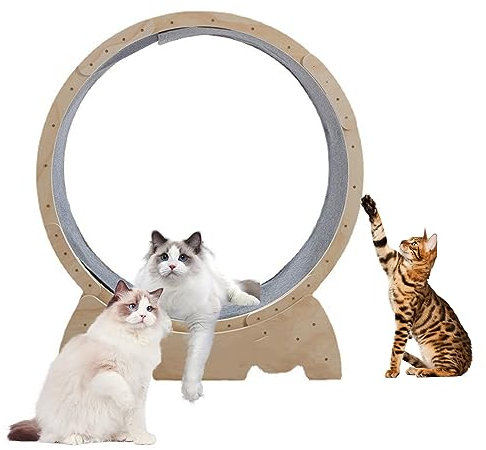 Katzen-Laufrad für Indoor-Katzen, Katzenlaufband für kleine Räume im Innenbereich, 48 Zoll Durchmesser, leiser Betrieb, geeignet für Katzen bis zu 10 kg, Gelb