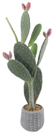 Thaookte Kunstpflanze Kaktuspflanzen Groß Kaktus Im Topf Pflanze Künstliche Dekoration Kunstpflanzen Groß Cactus Künstlicher Kaktus für Zuhause Garten Büro Einweihungsgeschenke Grün 106cm