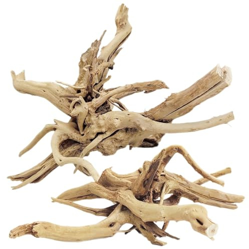 CBROSEY Tfwadmx - Madera Natural para Acuario, Ramas de Reptiles, terrario de Madera para Acuario, Tronco, árbol, decoración de Acuario, 2 Unidades