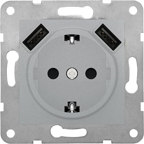 BJC Viva - Enchufe con emborne sin tornillo con protección de seguridad con doble USB, Plata Luna ,23526-USB-PL