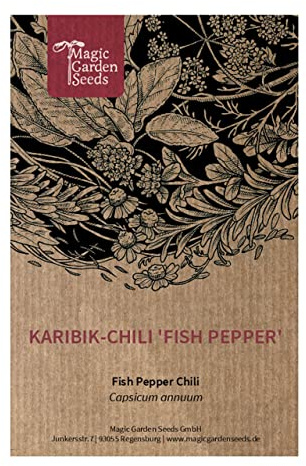 Chile 'Fish Pepper' (Capsicum annuum) - aprox. 10 semillas