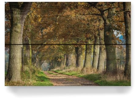 artboxONE Holzbild 30x20 cm Natur Die Eichenallee im Reinhardswald von Künstler Die Welt Tanzt Farben