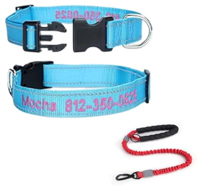 Hundehalsband mit Namen und Telefonnummer, personalisierbar, Nylon, bestickt, Doppel-D-Ring-Schnellverschluss-Schnalle für kleine Welpen, mittelgroße und große Hunde, Weihnachtsgeschenk