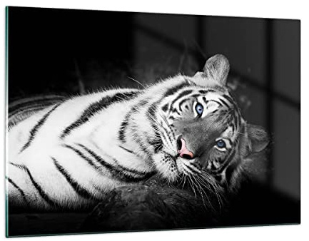 ARTTOR Wandbilder Dekoration Wohnzimmer Weiß Tiger Schwarz und Weiß Bilder auf Glas 120x80cm Glasbild Schlafzimmer Küche Deko Wand Kunstdruck Art Groß XXL Wanddeko Bild im Glas Modern GAA120x80-4247