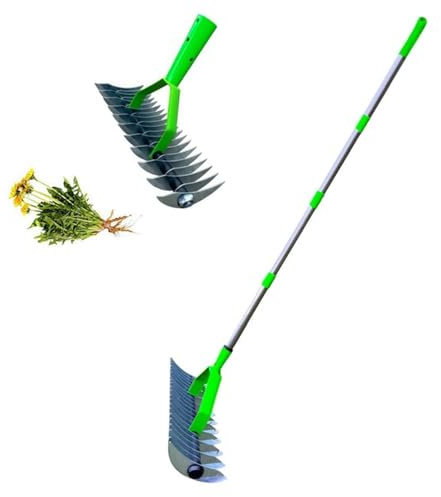 TTXSDYD Lawn Aerator Scarifier, Manual Lawn Grass Soil Aeration Scarification with HandleLawn Aerator Spikes Aerating Tool, Moss Removal Garden Tool (1.7 CM)