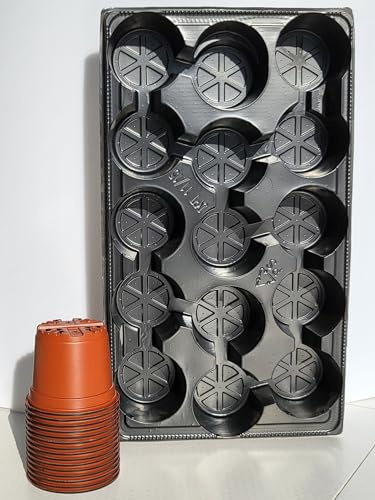 KORAD Anzucht-Set P11 15xTÖPFE 11 + TABLETT, zum Pflanzen, für Samen, Aussaat, Setzlinge, Jungpflanzen