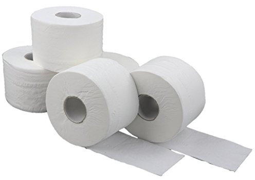 Blanc HYGIENIC Toilettenpapier SMART-Maxi – Set mit 24x Rollen à 75 m, 2-lagig, Klopapierrolle für Toilettenpapier-Spender, Weiß