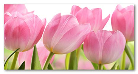 Tulup Picture Wall Art 100x50cm Image Printed Acryl Decorative Wall Picture Plastic/Acrylic Glass for Kitchen & Living Room Pink tulips