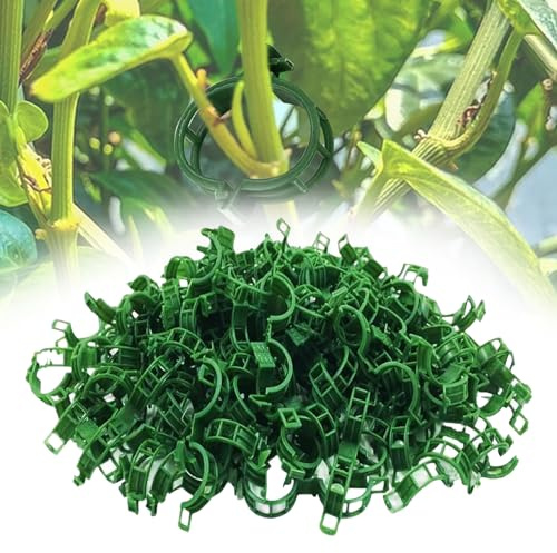 100 Pcs Pflanzenstützklammer Pflanzenstützclips Pflanzenclips für Kletterpflanzen,Pflanzenclips Tomaten Secured Plant Clips Pflanzenklammern Klein für Halten Garten Pflanzen Blumen Gemüsefrucht