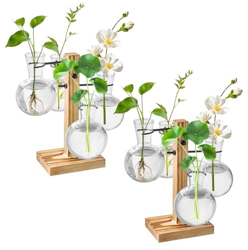 Doodlream 2 set di piante, con struttura in legno, 8 vasi in vetro per idroponica, decorazione da tavolo per casa, ufficio e regalo per gli amanti delle piante