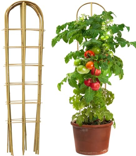 Taoskai 5 Pack 4 Feet U-Shape Bamboo Trellis, Natural Bamboo Trellis for Climbing Plants, Vegetables, Cucumber, Tomato, Outdoor and Indoor Potted Plants