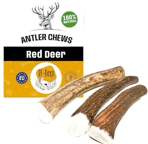 RF - Deer Snack per Cani Cervo Rosso Geweih Kausnack XXL Hard - 0,5 kg - Ogni Pezzo Circa 19 cm - Geweih per Cani 100% Naturale Giocattolo per Cani Kauknochen per Piacere e Cura dei Denti