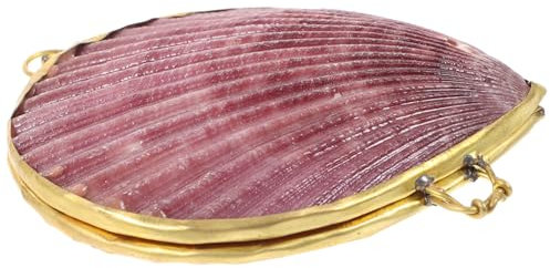 TINEASUR Muschelbox Als Schmuckorganizer Und Aufbewahrungsbox Für Kleinigkeiten Dekorative Schmuckschatulle in Muschelform Praktische Lösung Für Ordnung