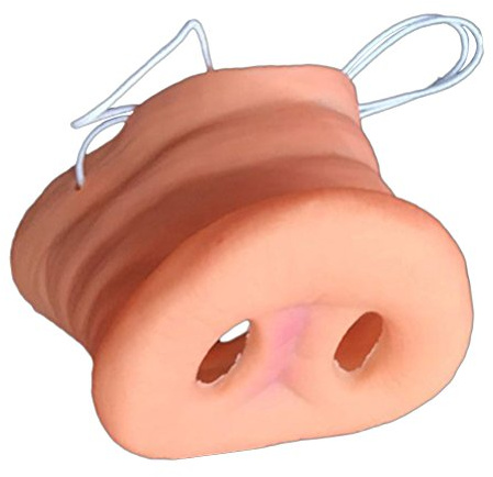 YeahiBaby Schwein Nase Maske mit Gummiband, interessante Tier Maske für Party, Satz von 2 Stück