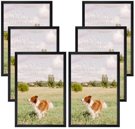 EYMPEU Posterrahmen 60x90cm 6er-Set, Wandbilderrahmen für Poster, Bilder und Gemälde, vertikal oder horizontal verwendbar, Schwarz