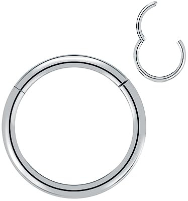 Artskin Anillo de Nariz Titanio - Anillo de Nariz para Mujeres y Hombres 20G 18G 16G Septum Tragus Concha Pendientes de Oreja Piercing de Labio Plata/Oro/Negro/Rosa/Rosé 6 mm/7 mm/8 mm/9 mm/10 mm, 16
