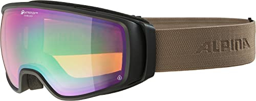 ALPINA Unisex Double Jack Planet Q-lite Skibrille (1er Pack)