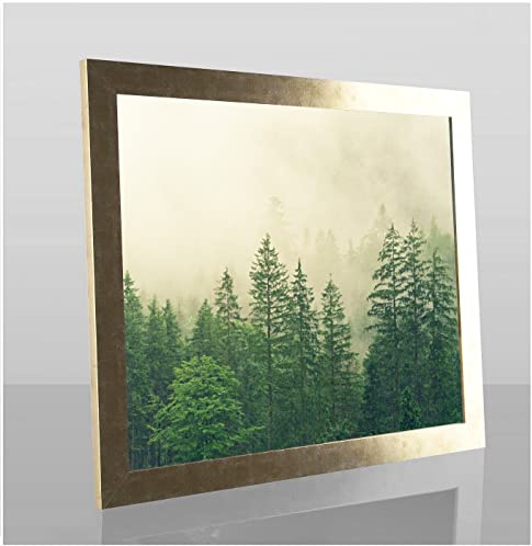 Monaldo Deluxe Bilderrahmen Posterrahmen 91,5 x 61 cm Farbe Gold Antik Wechselrahmen weisser Hintergrund klares Kunstglas