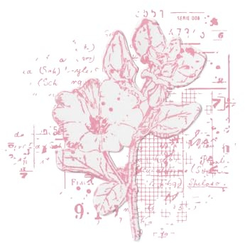 Sizzix Framelits Stanzschablonen und Stempel, Blumen-Mix-Cluster von 49 and Market, transparent/silberfarben